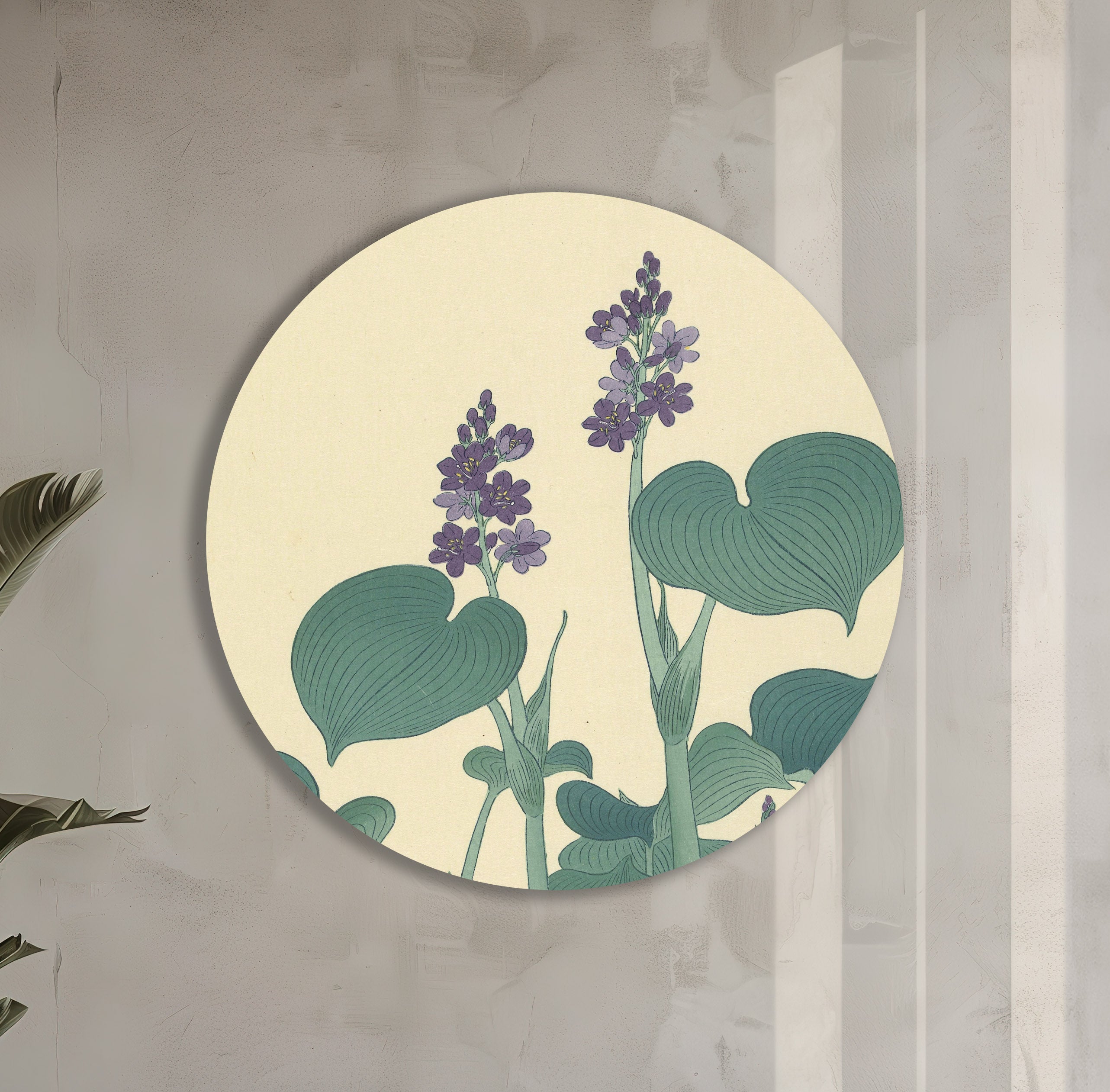 Bloeiende hosta muurcirkel